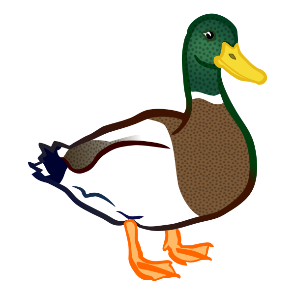 SVG Male duck
