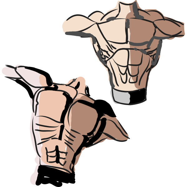 SVG Male torso