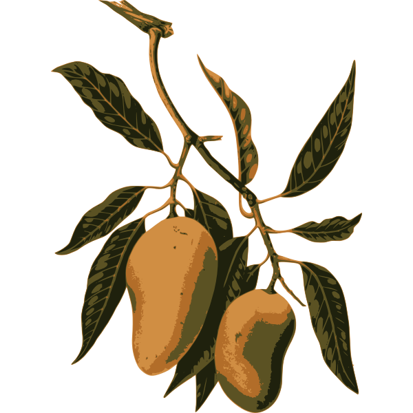 SVG Mango fruit on a branch