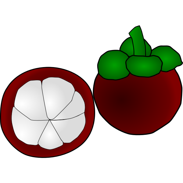 SVG Mangosteen Thai Fruit