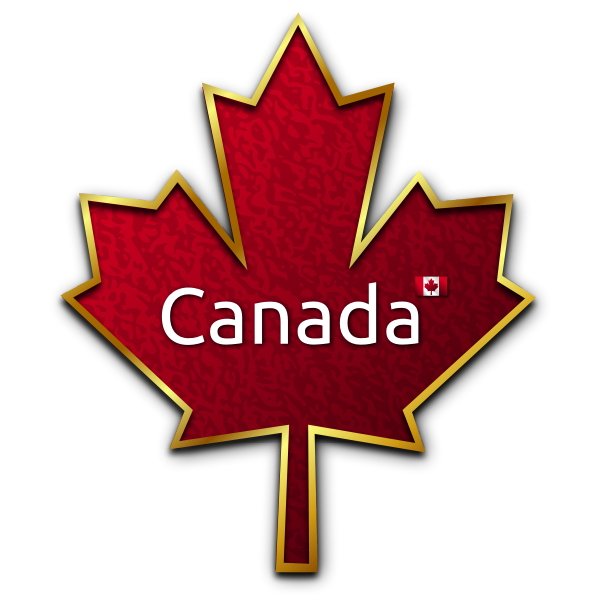 SVG Maple leaf with golden trim vector