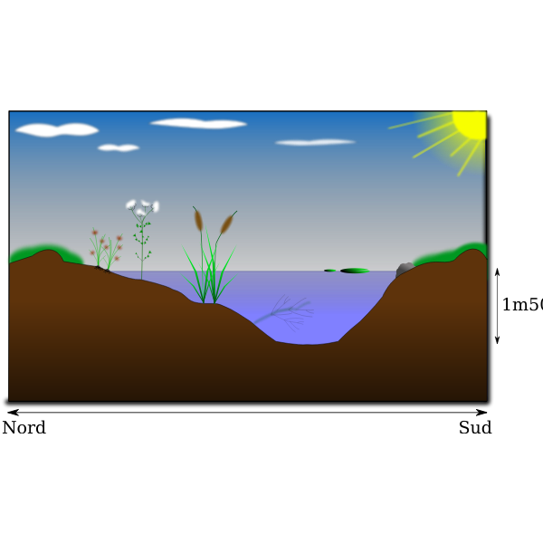 SVG mare naturelle - natural pond
