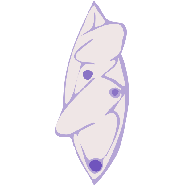 SVG mascara