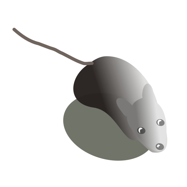 SVG Maus von oben