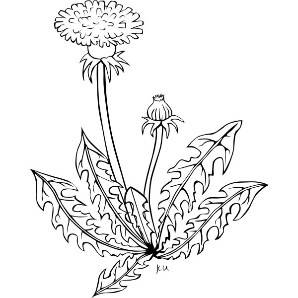 SVG Meadow flower