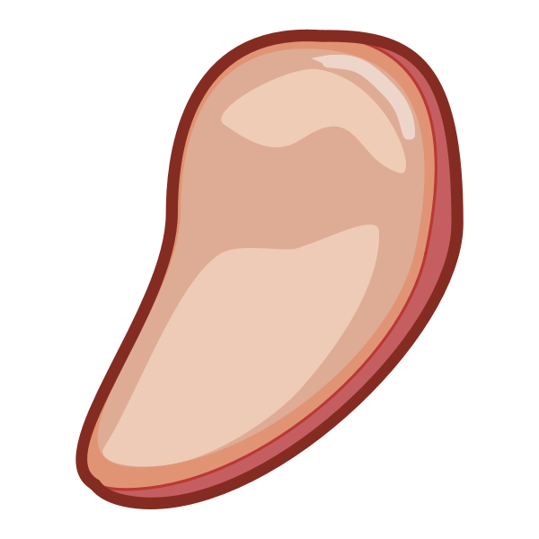 SVG Meat