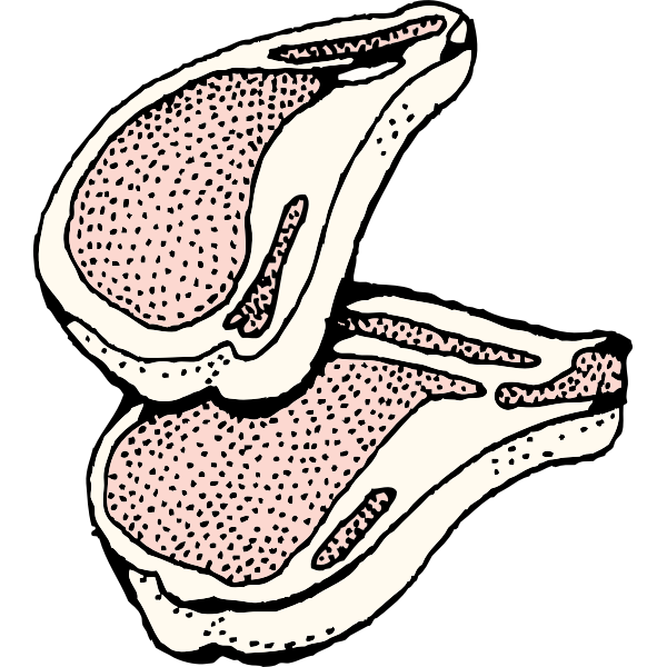 SVG Meat chops vector graphics