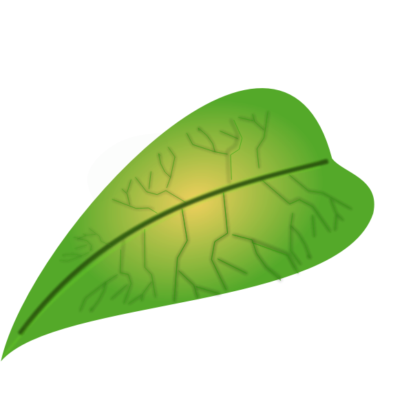 SVG Meaty green leaf