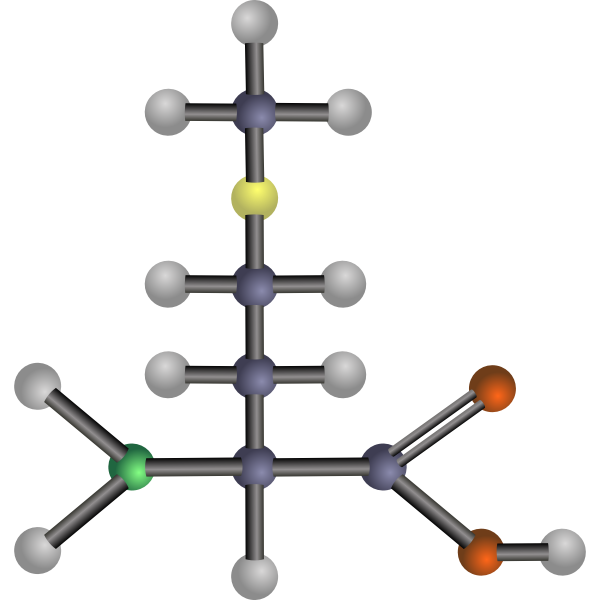 SVG Methionine amino acid