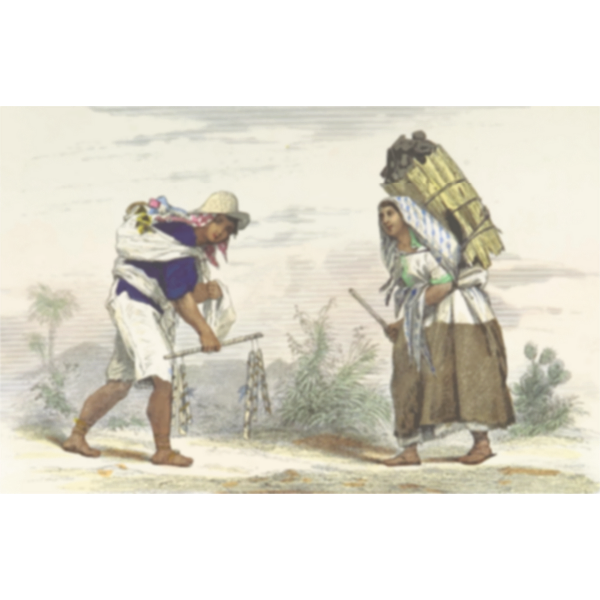 SVG Mexicans