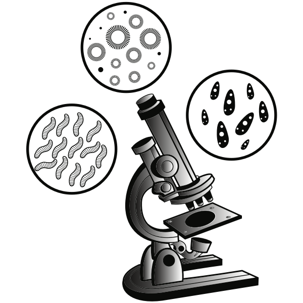 SVG Microscope and virus
