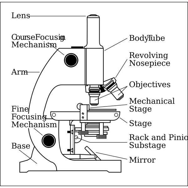 SVG Microscope side vector drawing with parts labelled