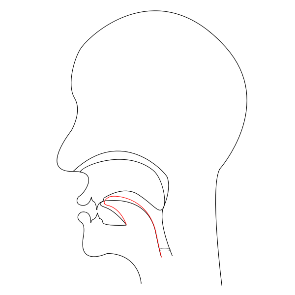 SVG midsagittal CH - voiceless postalveolar affricate