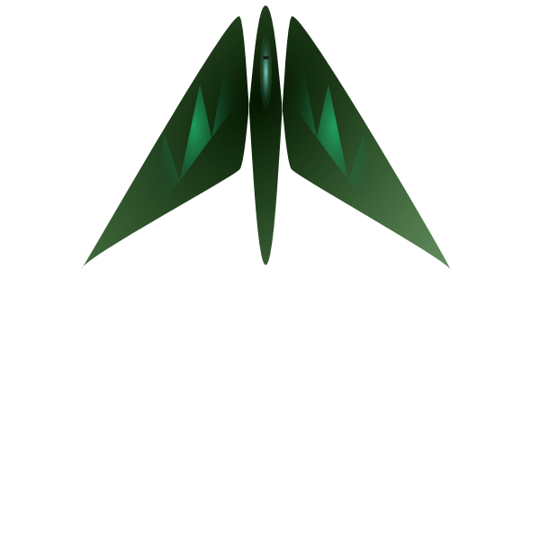 SVG Military jet fighter vector