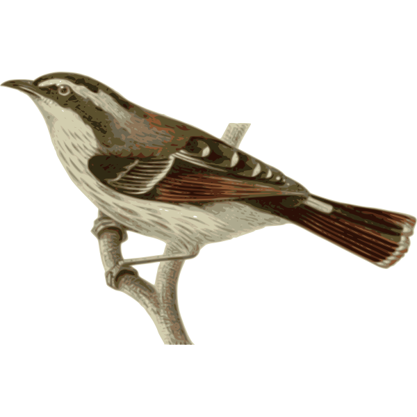 SVG Minlaignotincta