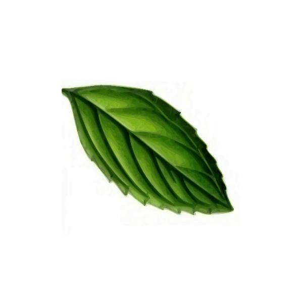 SVG Mint Leaf