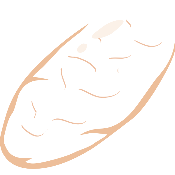 SVG misc golgi apparatus