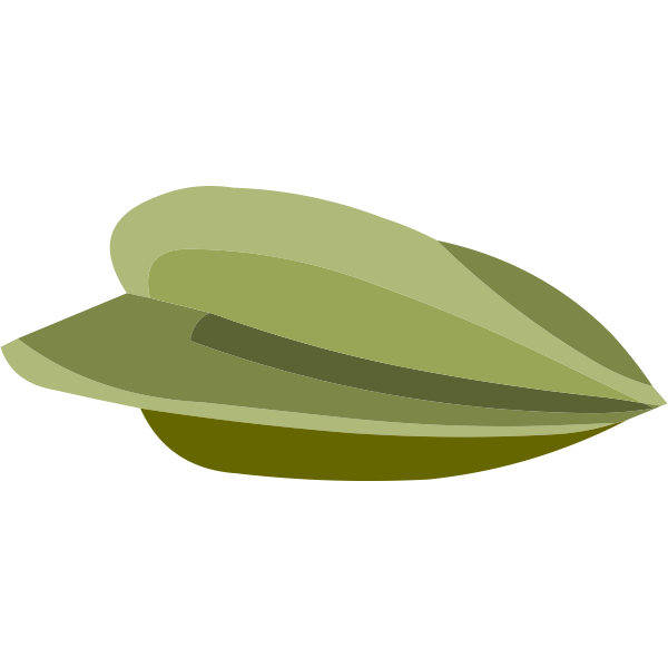 SVG misc starfruit seed