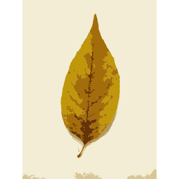 SVG Missouri Fall Tree Leaves