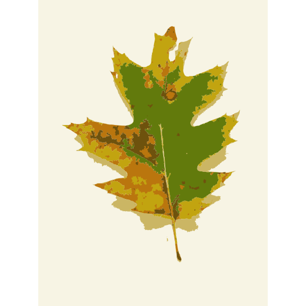 SVG Missouri Fall Tree Leaves 1