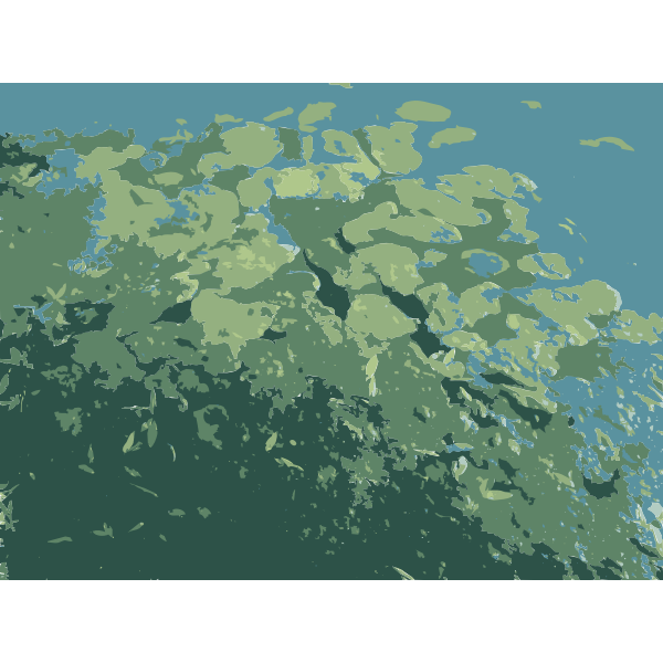 SVG Missouri Lily Pads