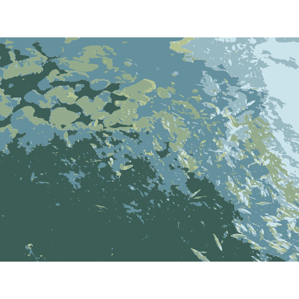 SVG Missouri lily pond