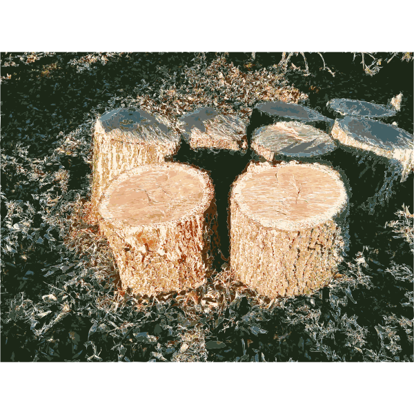 SVG Missouri Nature 1 2015011228