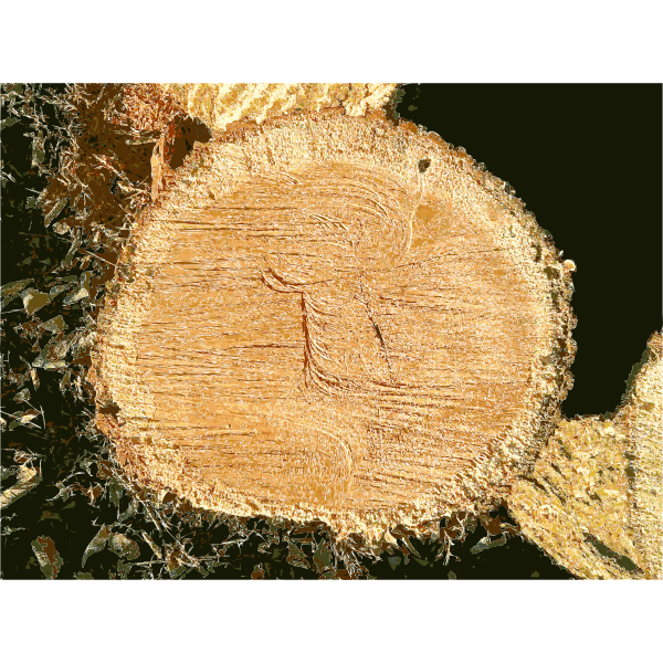 SVG Missouri Nature 2015011228