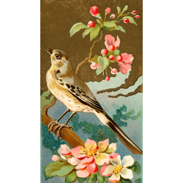 SVG Mocking bird