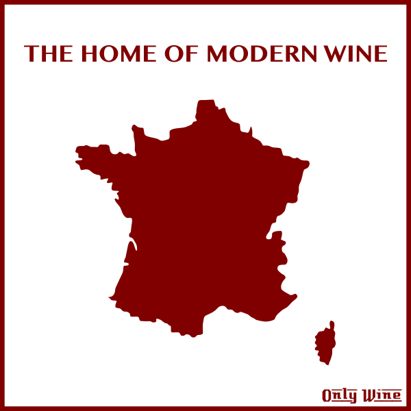 SVG Modern wine home