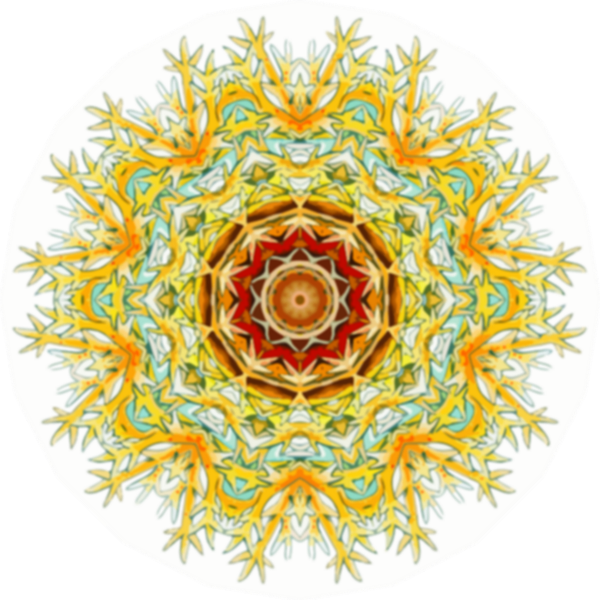 SVG Mollusc drawing