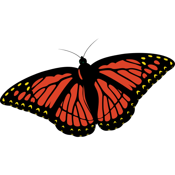 SVG Monarch butterfly