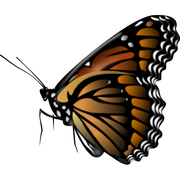 SVG Monarch butterfly vector clip art