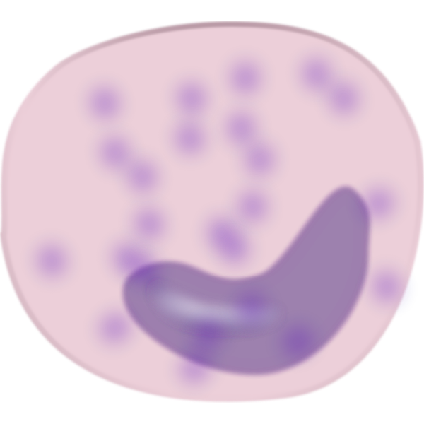 SVG monocyte