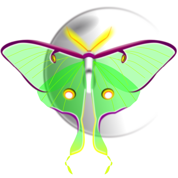 SVG Moon and moth