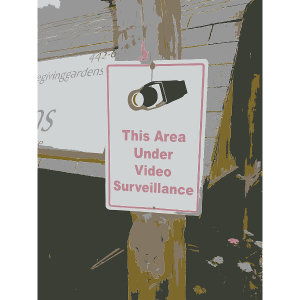 SVG More video sueveillance