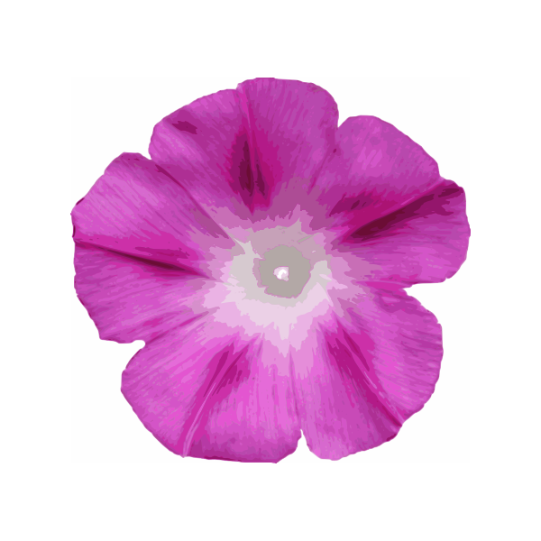 SVG Morning glory cutout