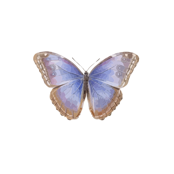 SVG Morpho helenor octavia