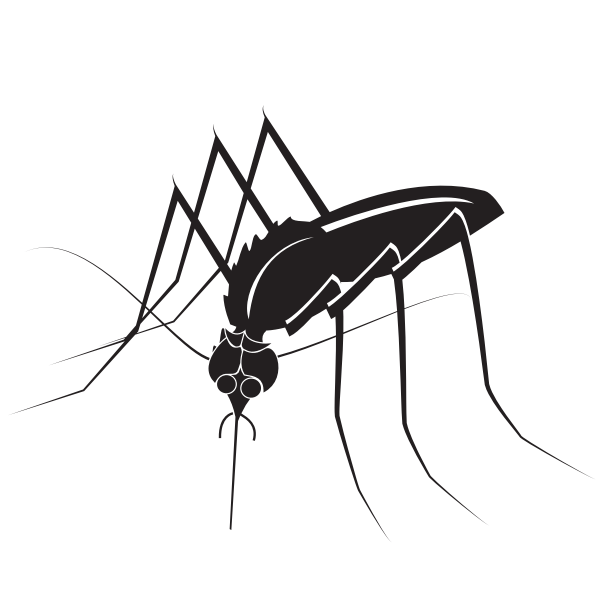 SVG Mosquito insect