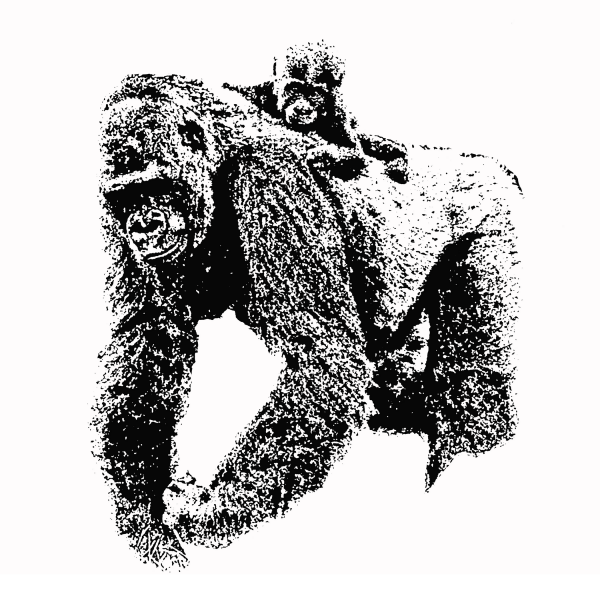 SVG Mother and baby gorilla