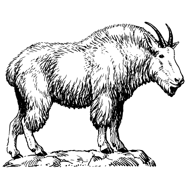 SVG Mountain goat