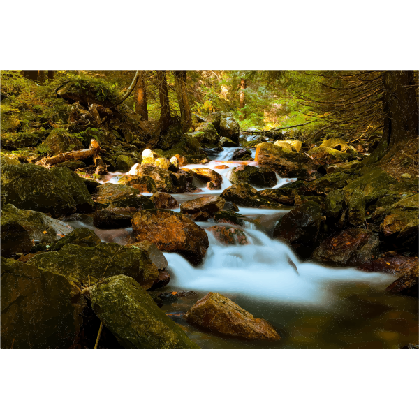 SVG Mountain Stream In Forest