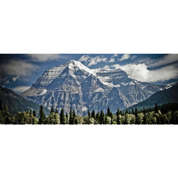 SVG Mountain view vector image