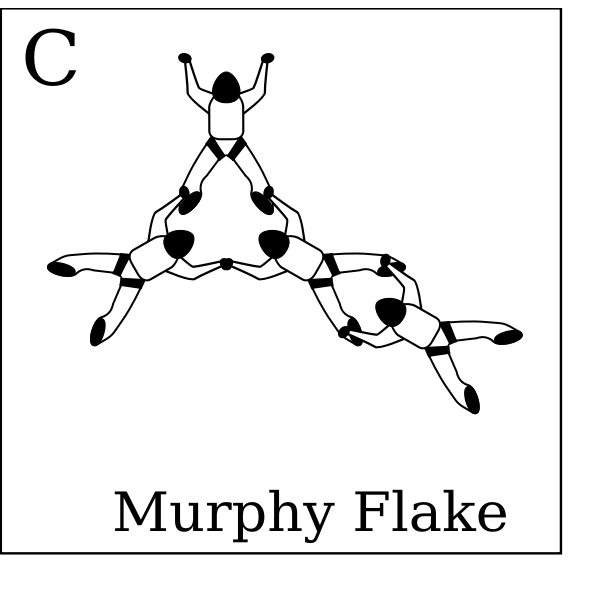 SVG Murphy Flake card