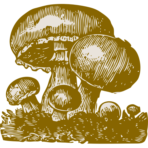 SVG Mushrooms vector image