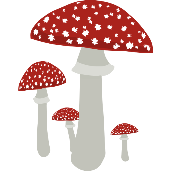 SVG Mushrooms4
