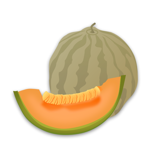SVG Musk Melon