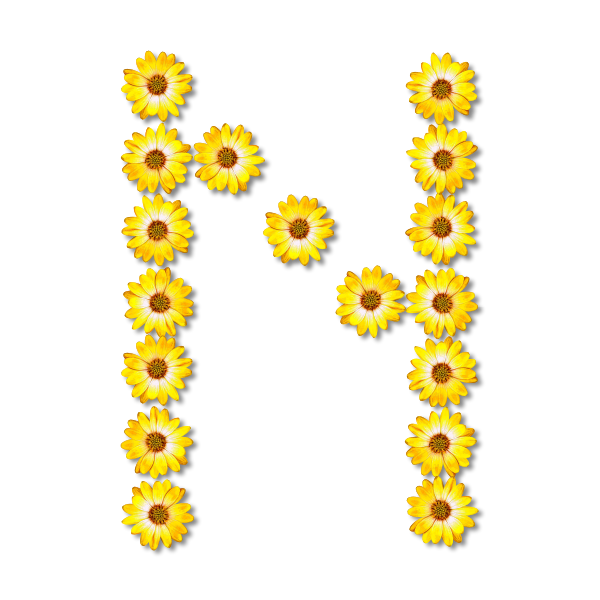 SVG N floral letter