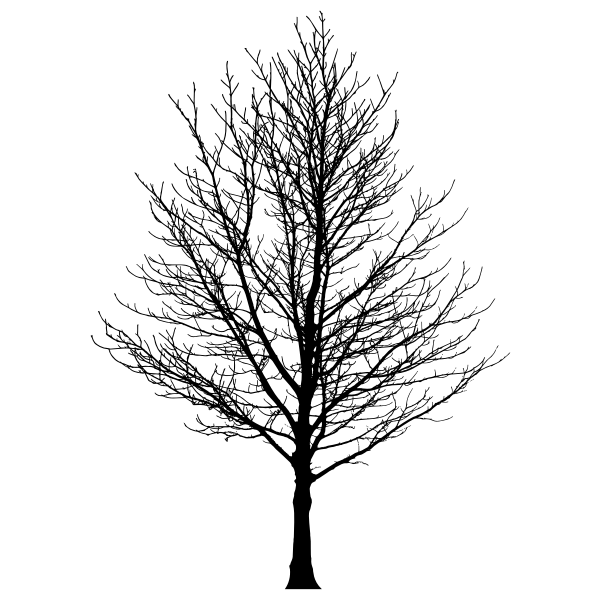 SVG Naked tree-1574677572