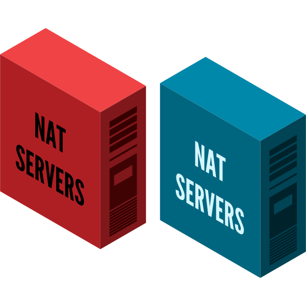 SVG NAT server vector image